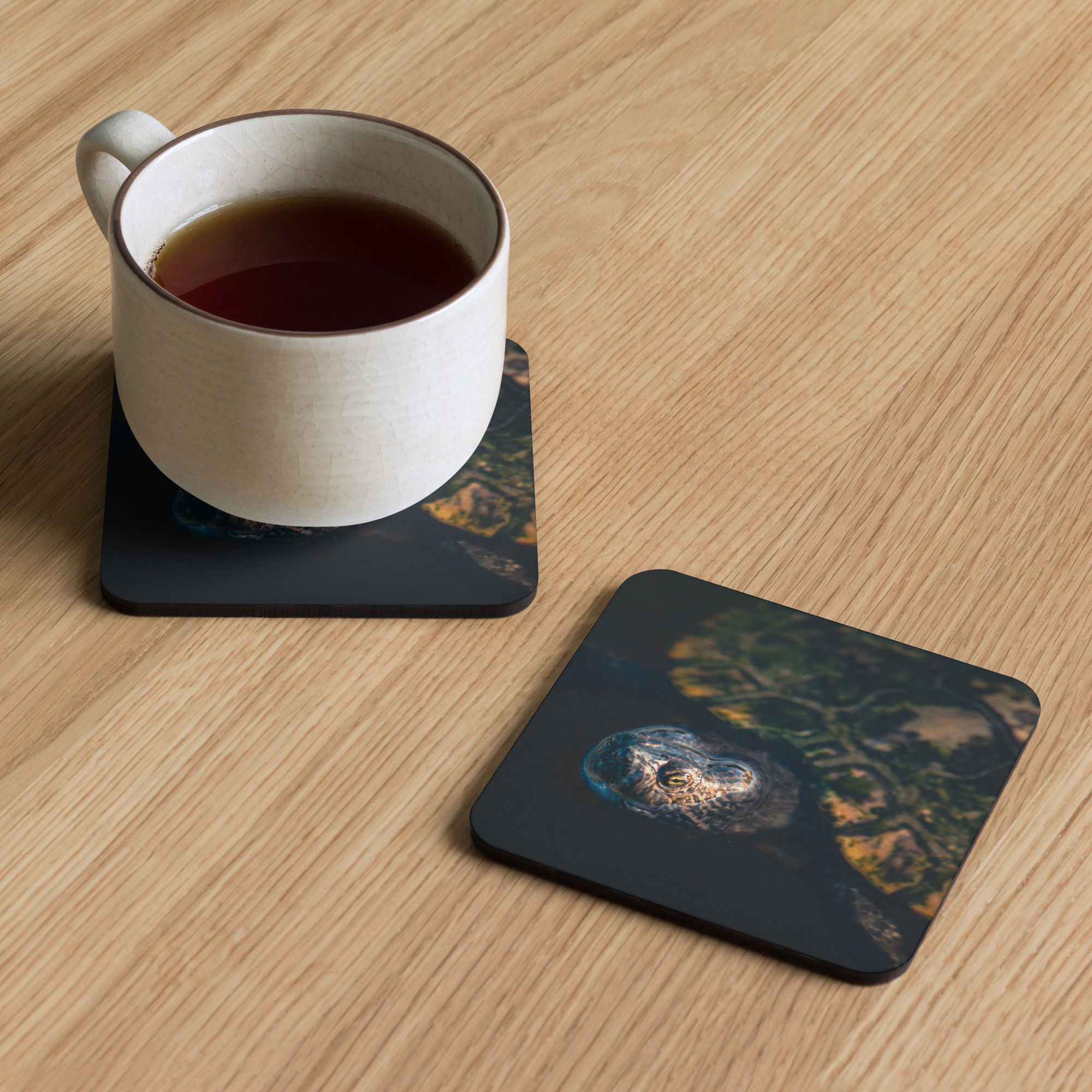 Turtle Cork-back Coaster Set