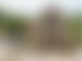 Adaptation de l'art. R.126-5 code de la construction à la vente de murs mixtes