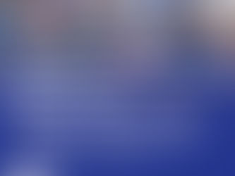 Niche parlementaire Horizons