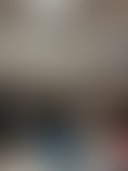 Réunion publique du député Didier Lemaire à Blotzheim