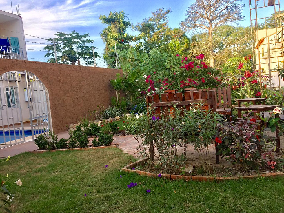 jardin 1