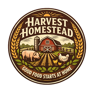 file_0000000081f8722fad692ab7d1307873 (1