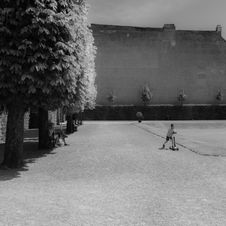 Belvedere-03061.jpg