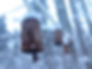 February Bells.jpg