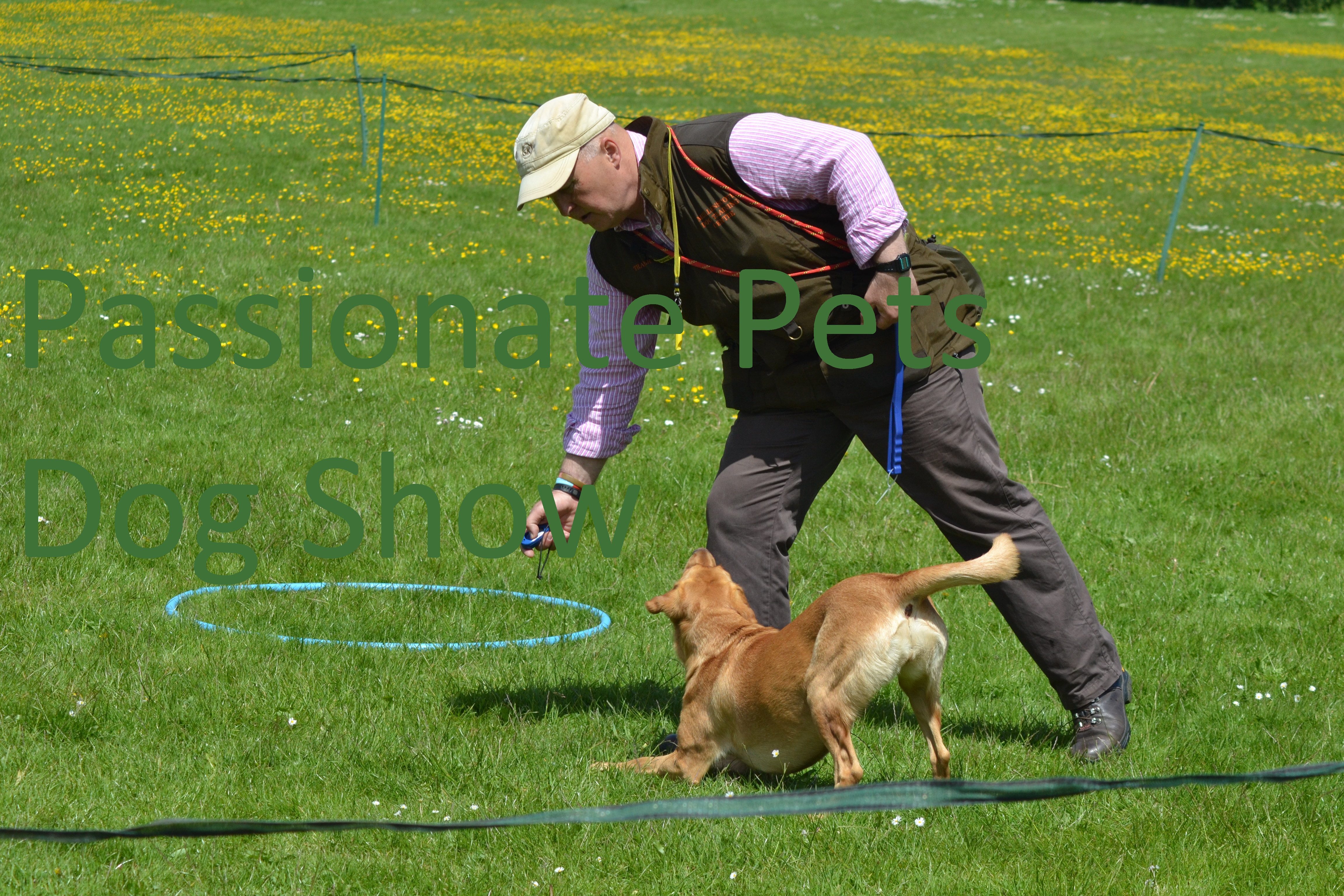 DSC_0369.JPG