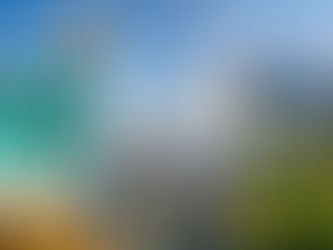 How Do I Escalate a Complaint with Lufthansa?