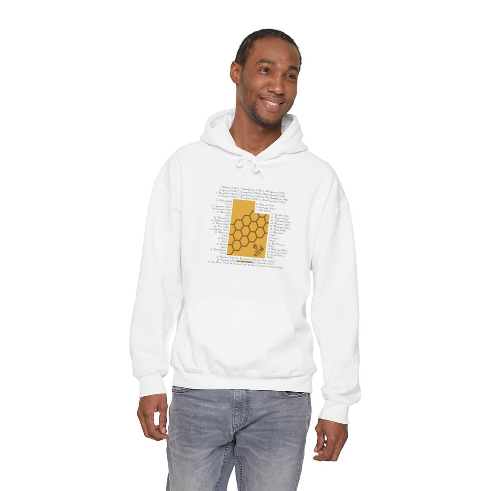 Thumbnail: States Hoodie