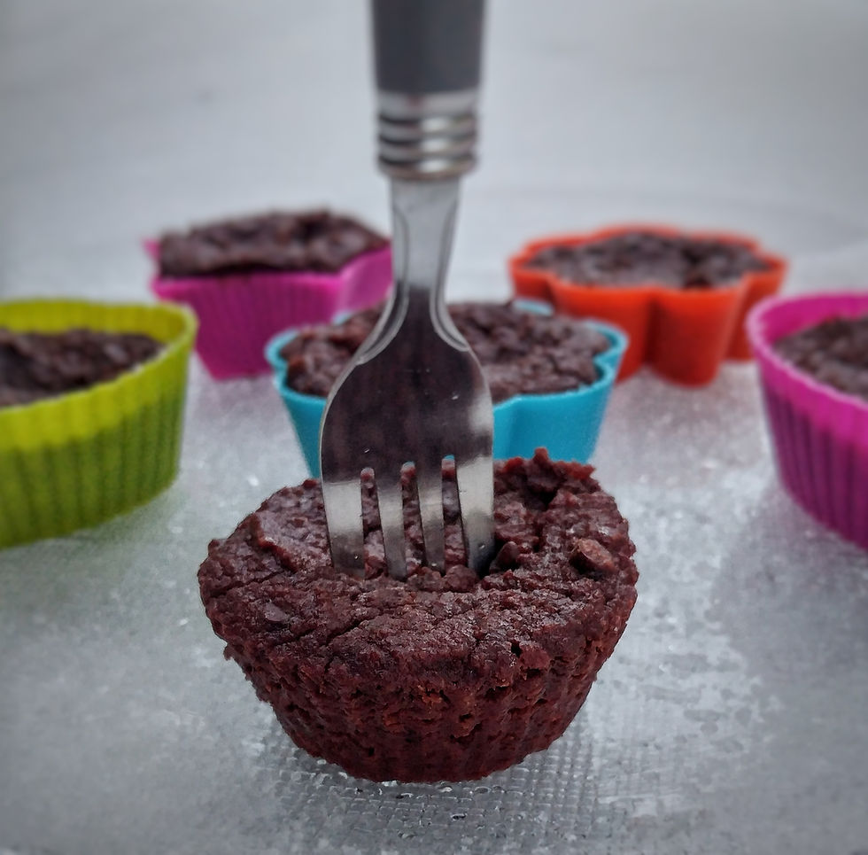 Fudgy Chocolate Muffins
