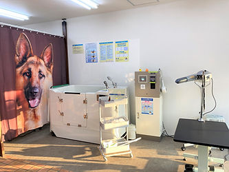 大型犬用エリア.jpg
