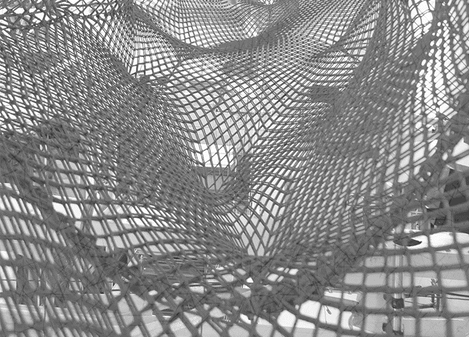 NETTED TUBES | Standard Netting