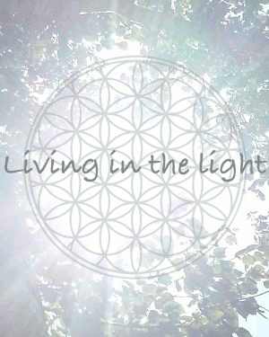 Living in the Light LLC