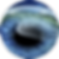 smile-step2.png