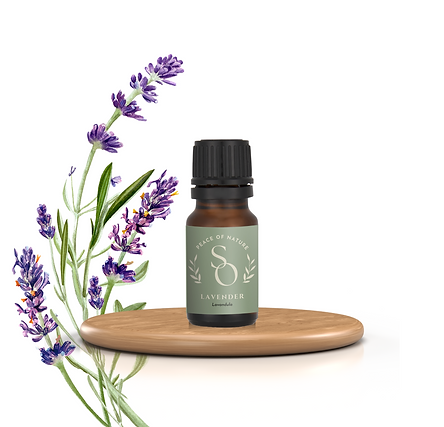 Lavender Essential Oil 10ml