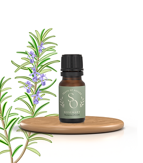 Rosemary Essential Oil 10ml