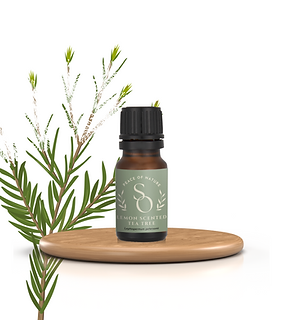 Lemon Scented Tea Tree 10ml