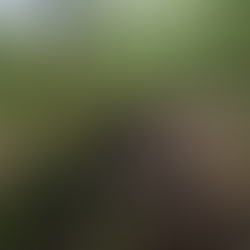 III BTT VILA DE BUEU RECONOCIMIENTO - Breogán Calviño