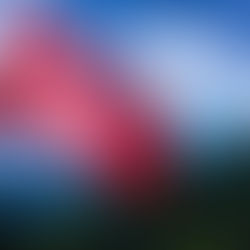 Hard Bike 2019 fue una fiesta