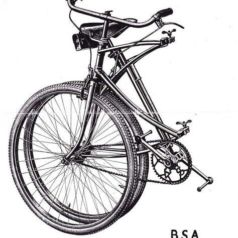 El Futuro: Un Análisis Visual del Mercado Mundial de la Bicicleta