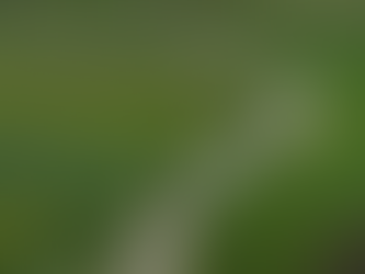 Clássica de Viana - Hay pavé al sur de Roubaix.