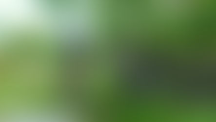 Ribeira Sacra MBT X/ El Rock and Roll está aquí / Breogán Calviño.