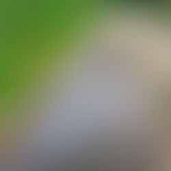 Mejor Ciclista Historia: Merckx vs Pogačar - Análisis Datos