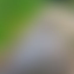 Mejor Ciclista Historia: Merckx vs Pogačar - Análisis Datos