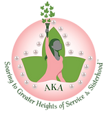 Admin Shield