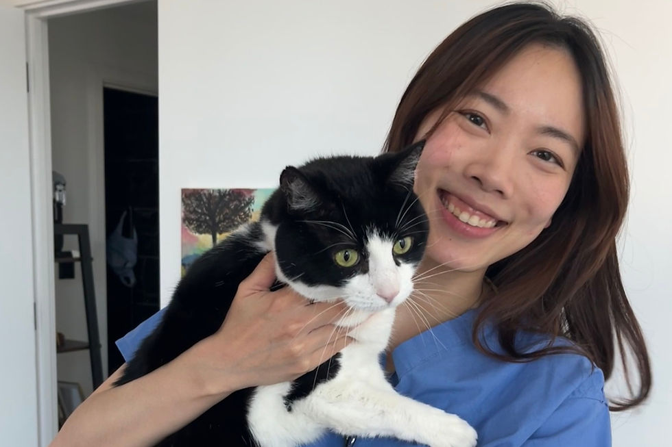 May Yean is giving this advice to animal carers ahead of their next appointment