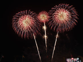 Pet experts back quieter fireworks as owners urged to speak out before Government consultation closes