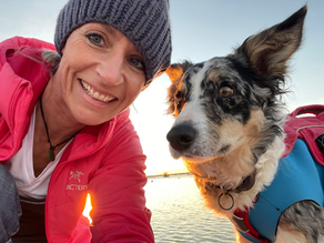 Act now to prevent pain later in life, according to top dog arthritis specialist
