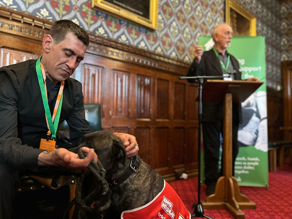 Celebrities and campaigners unite in Parliament to back Street Paws ‘No One Left Outside’ campaign
