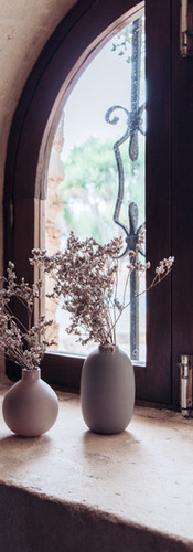 Finca Can Clementine