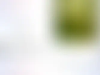 Search Live กำลังขยายบริการไปทั่วโลก