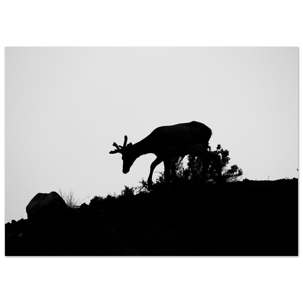 Thumbnail: Silhouette Semi-Glossy Paper Poster