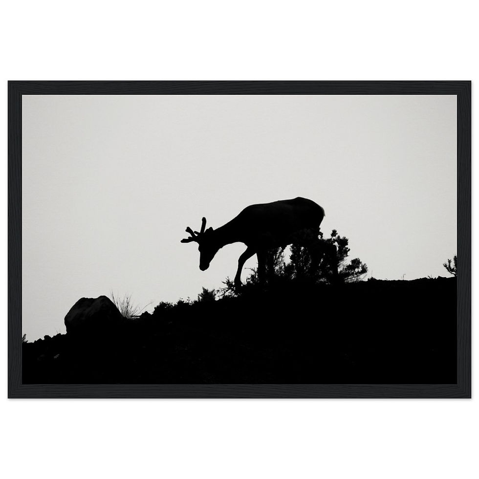 Thumbnail: Silhouette Museum Wooden Framed Poster