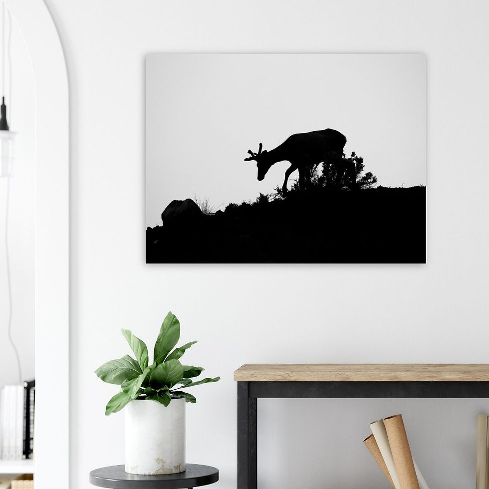 Thumbnail: Silhouette Semi-Glossy Paper Poster