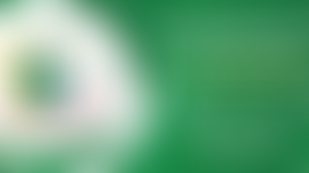 21st NACCW Biennial Conference