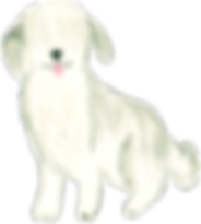 VANILLAxDESIGNS- (7).png