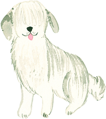 VANILLAxDESIGNS- (7).png