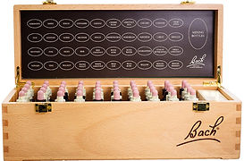 Bach i kasse.jpg
