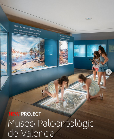 Illustrations for the Valencia Museum of Natural History Collections