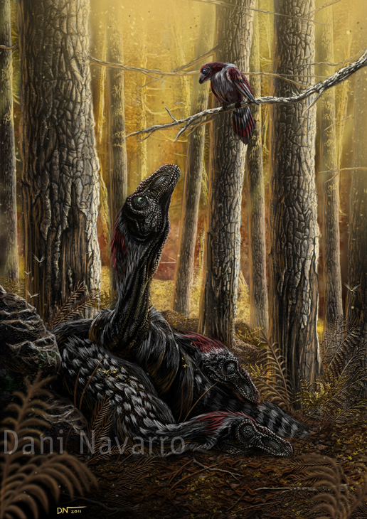 La siesta. Raptores
