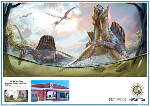 Illustration and reconstruction of Spinosaurus by Dani Navarro for Paul Sereno and the Fossil Lab at the University of Chicag