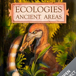 ECOLOGIES Ancient Areas
