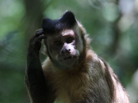 When was the last time you did something for the first time?