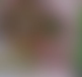 Psychometry Readings with Susin on Sat. May 23rd, 2026