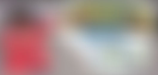 Toon In To Manufacturing – Detra