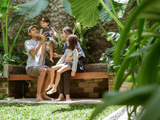 How to choose the right plants for your South Florida landscape