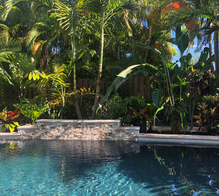 Copy of IMG_2588.heic