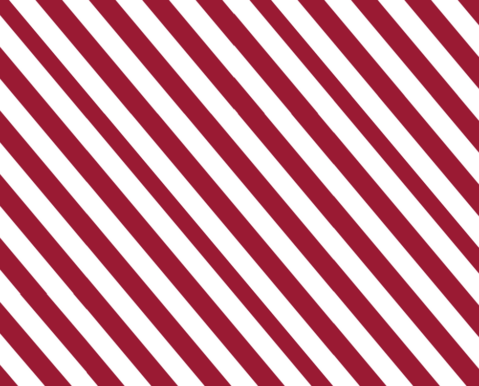 16 x 9 in copy 4.png